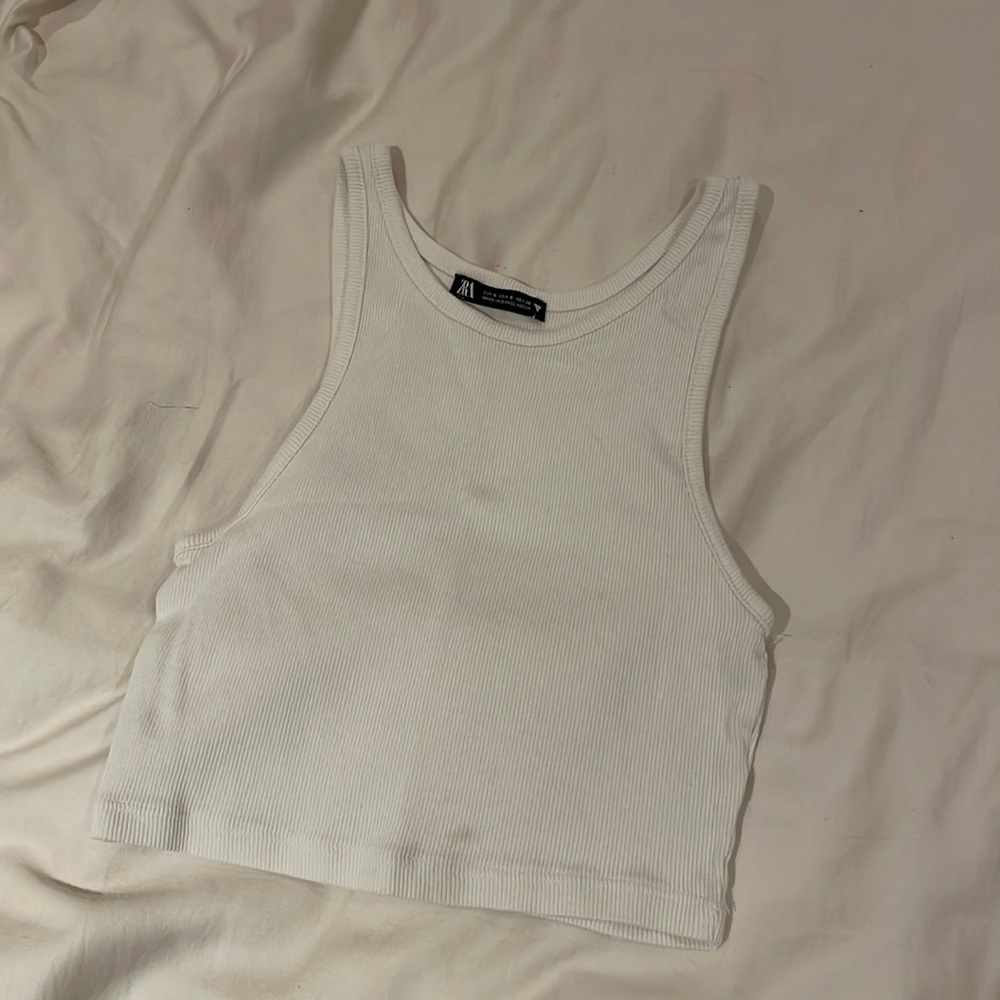 Zara crop top